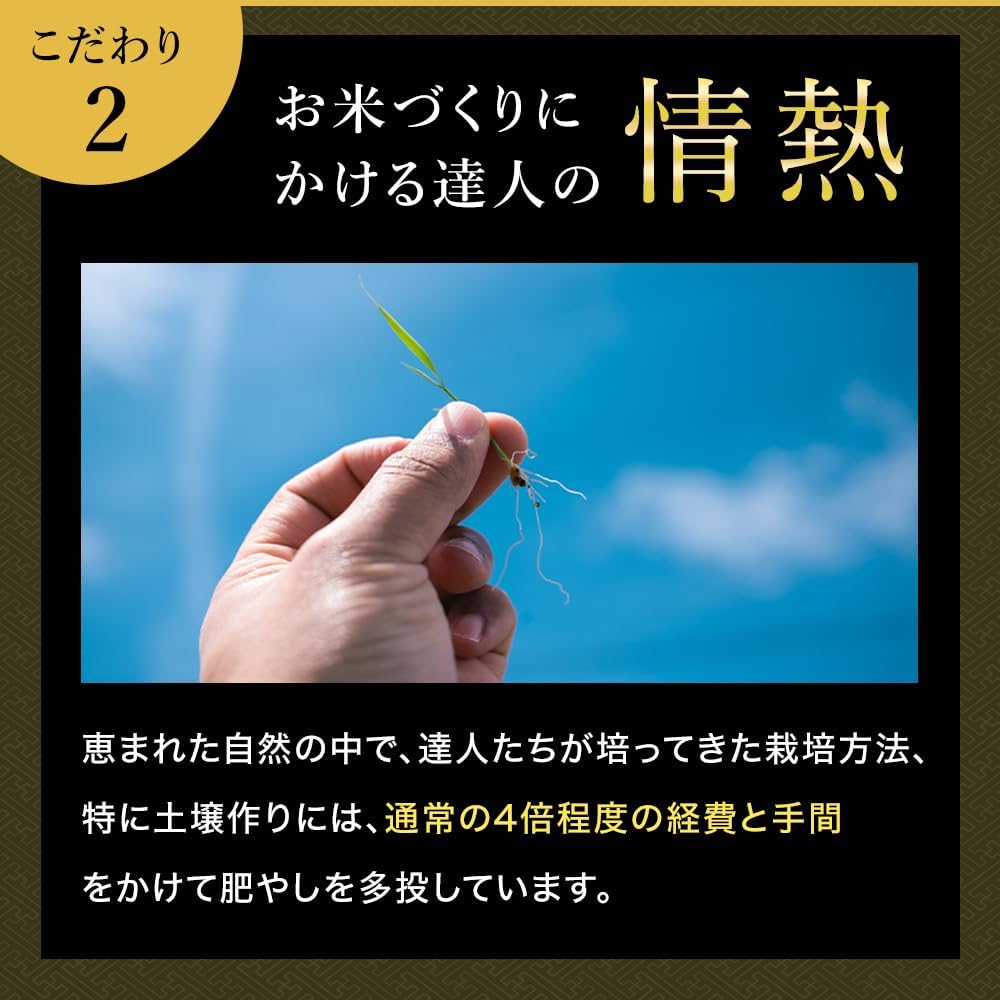 Uonuma Koshihikari Rice