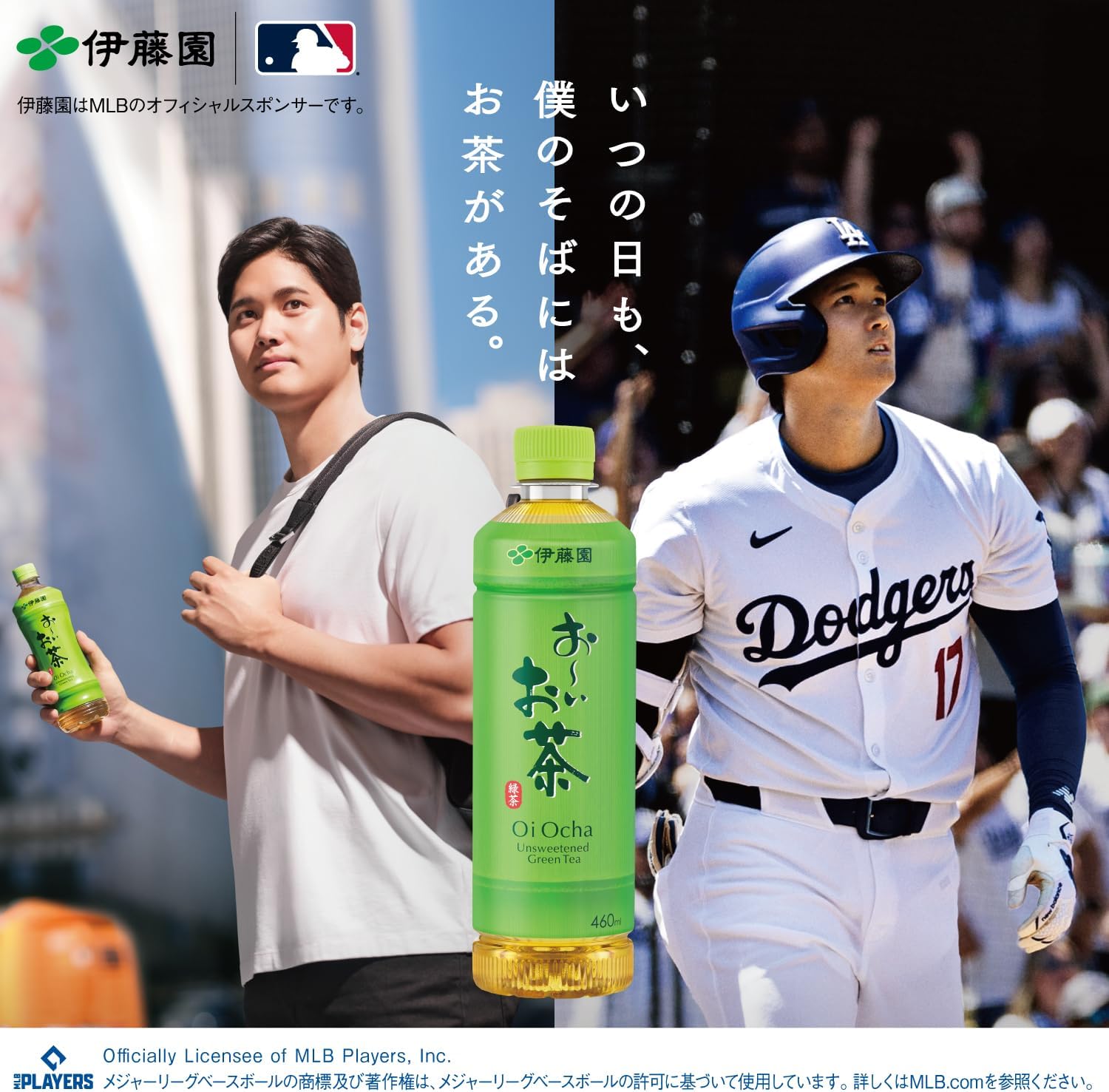 Matcha Oi Ocha Green Tea