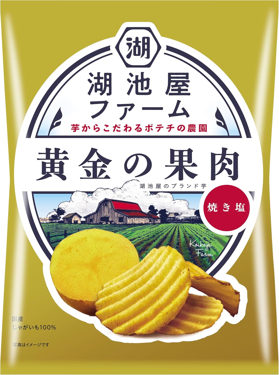 Golden Pulp Salt Chips